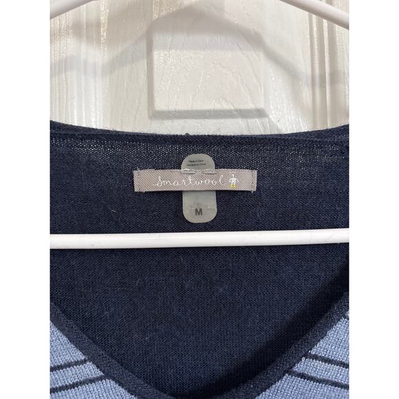 Smartwool Merino Wool Blend Blue Striped V-Neck Sweater Medium - Picture 6 of 10
